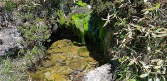 2025 한라산 백록샘 첫 개방! 선착순 100명