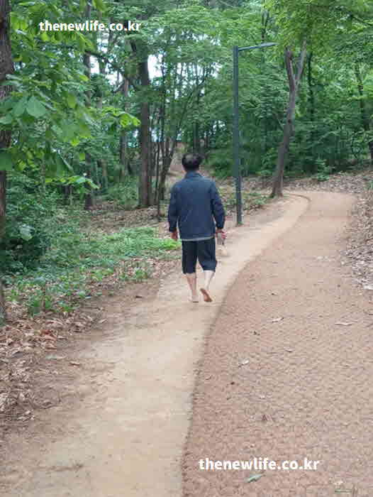맨발걷기 효능 소화 기능 개선