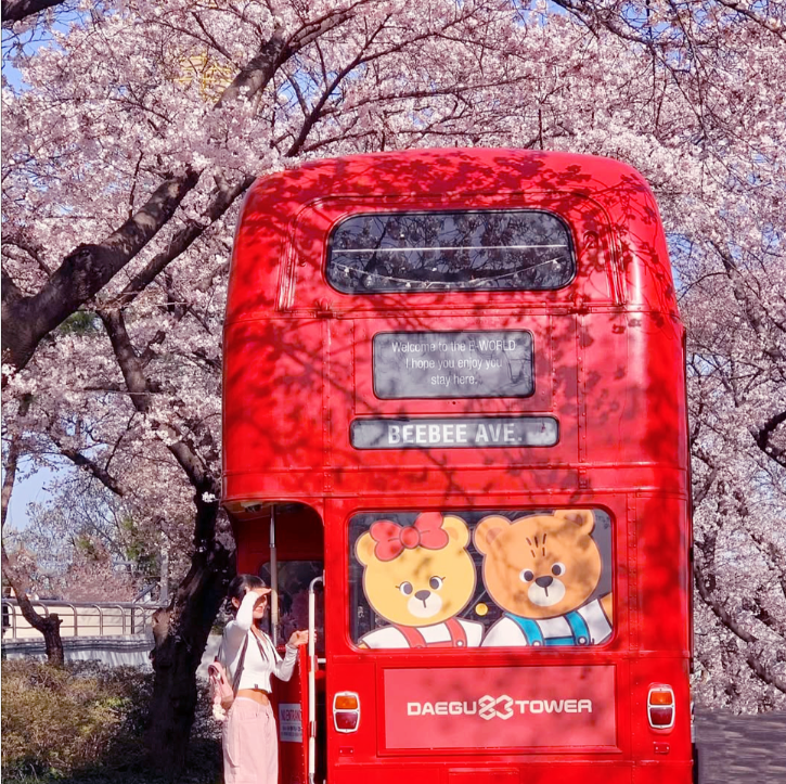이월드 블라썸 피크닉과 관련된 사진