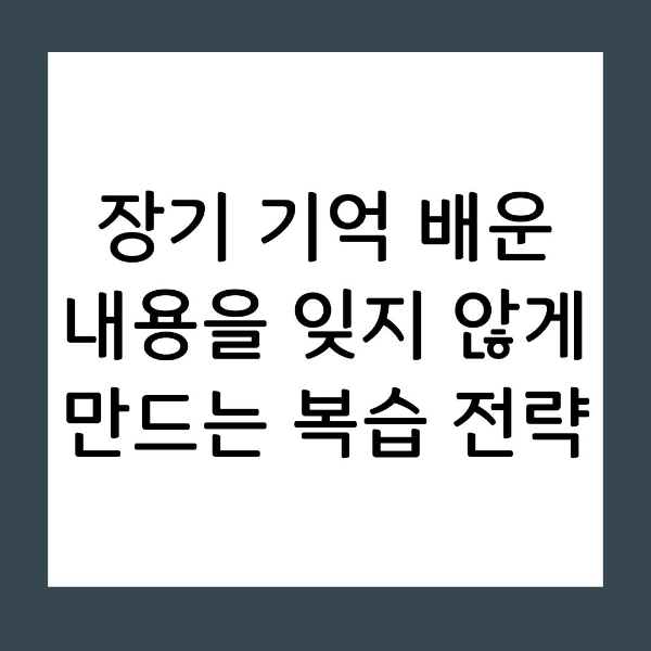 장기 기억 배운 내용을 잊지 않게 만드는 복습 전략