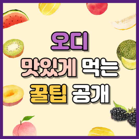 오디 먹는 법 안내
