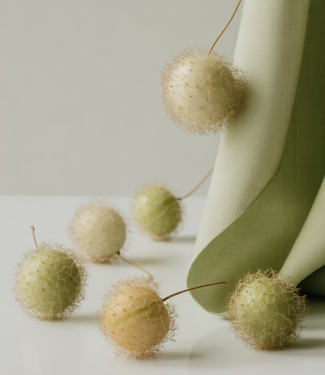 꽃이 지고 난 뒤, 반전 매력의 씨앗