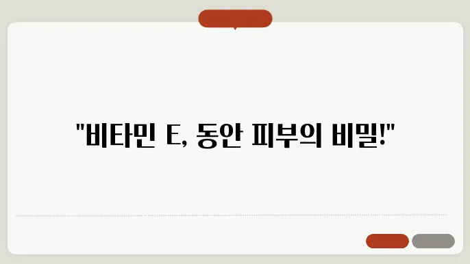 비타민 E와 피부 노화 방지 관련 이미지
