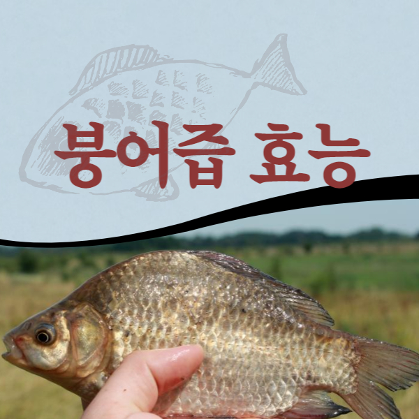 붕어즙 효능 부작용 알고 드세요!