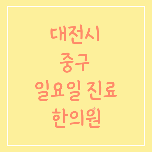 대전시 중구 일요일 진료 한의원