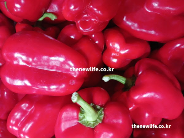 피망 효능을 책임지는 영양성분이 가득한 실사진