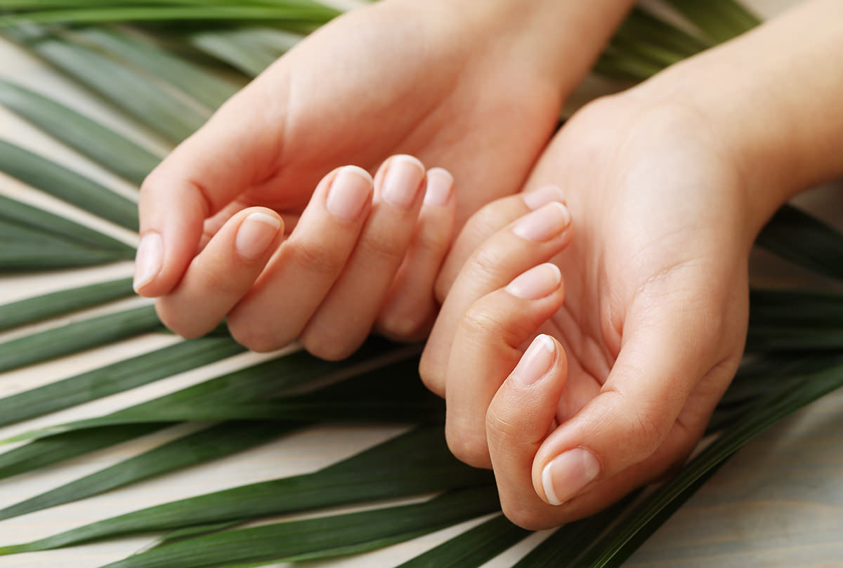 나뭇잎 위에 여성의 손가락과 손톱