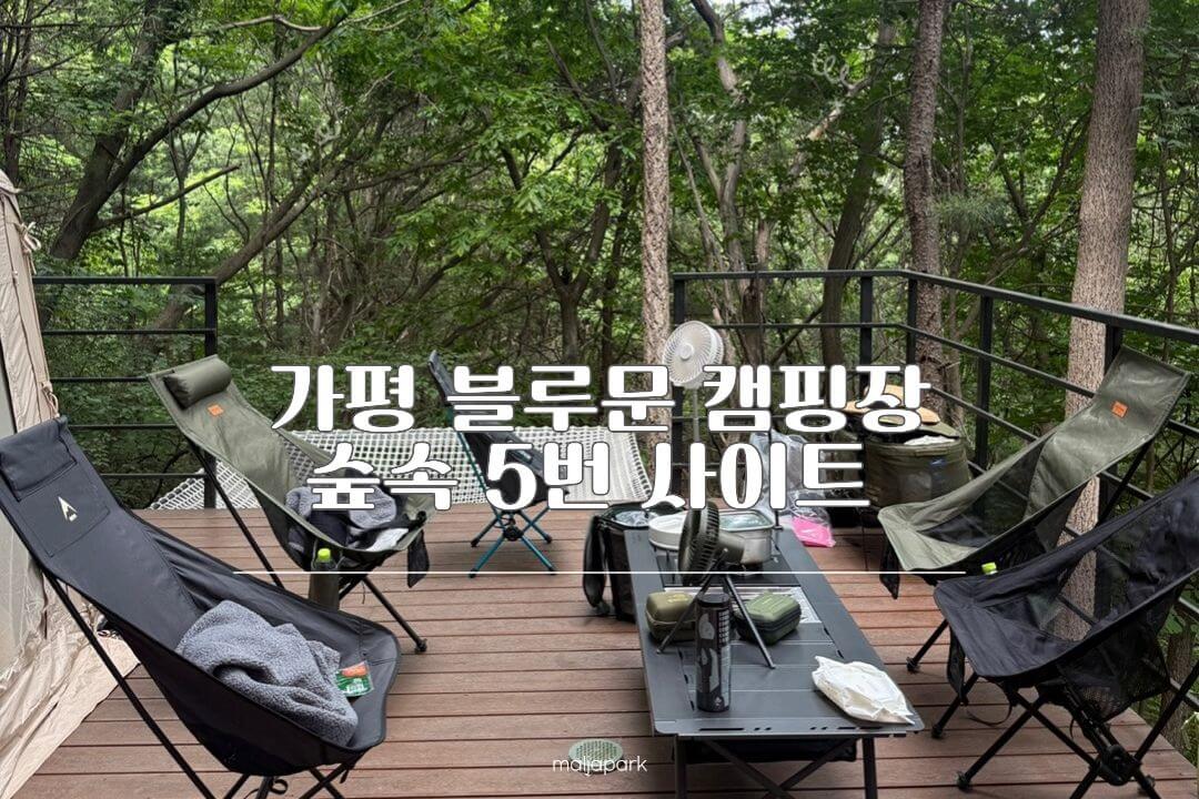 가평 블루문 캠핑장 숲속 데크 사이트 전경