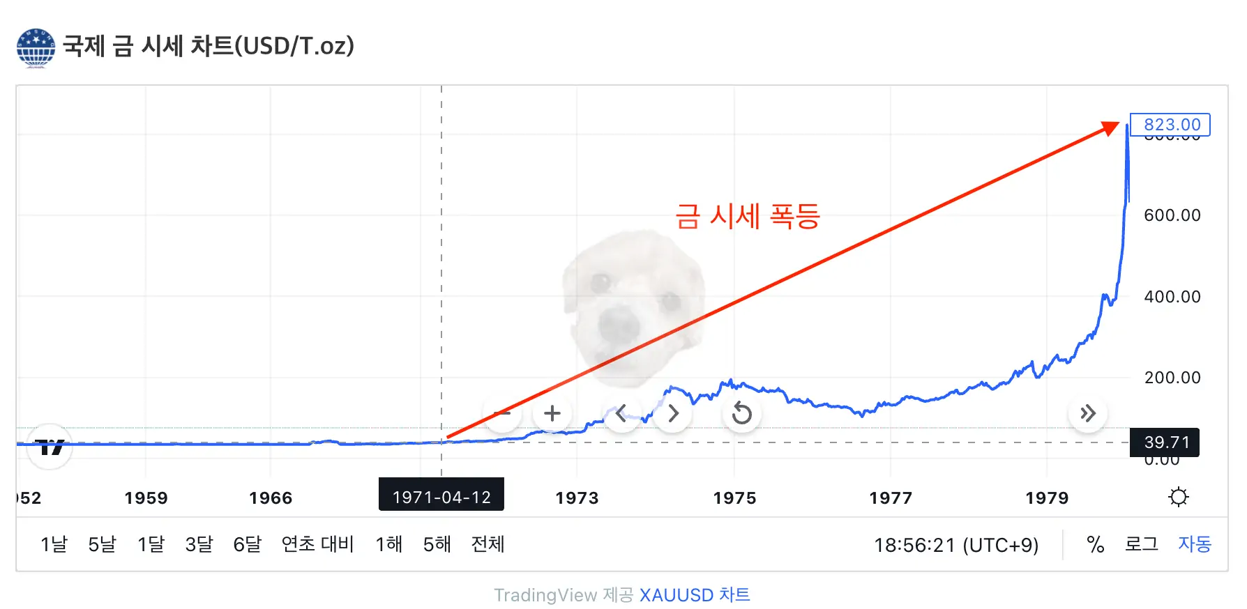 국제 금 시세 차트1