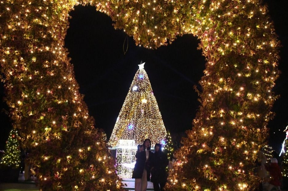 2025 함평 겨울빛축제