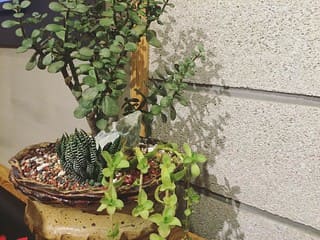 회 차별 로또 당첨 번호 안내 로또 확인 앱