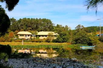 천리포 수목원 목련축제 입장료 여행코스_14