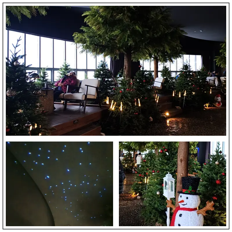 무심원-내부-분위기-몽환적