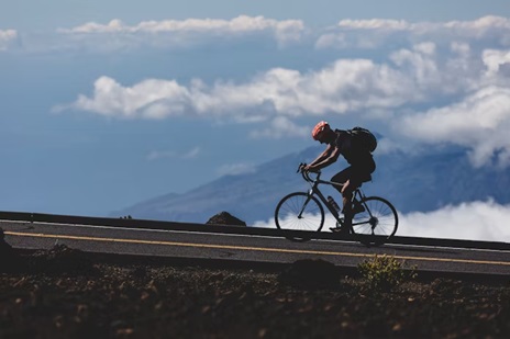 하와이에서 자동차 없이 여행하는 법 &ndash; 대중교통과 도보 여행 루트