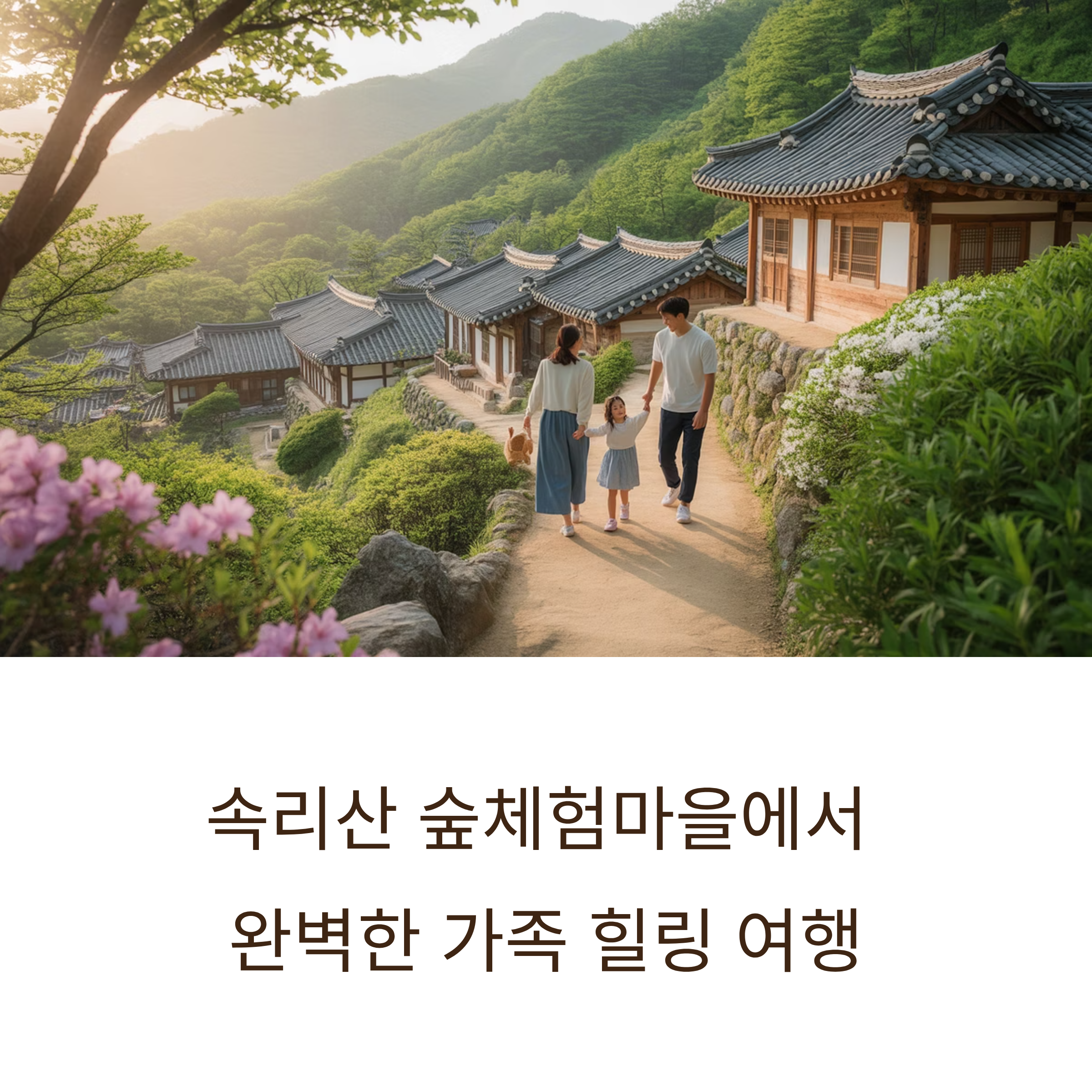 속리산 숲체험마을, 자연 속 힐링 여행의 모든 것