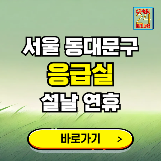 서울 동대문구 설날 연휴 비상진료 응급실 병원 찾기 ❘ 내근처 24시 야간 심야 휴일 가능한 곳