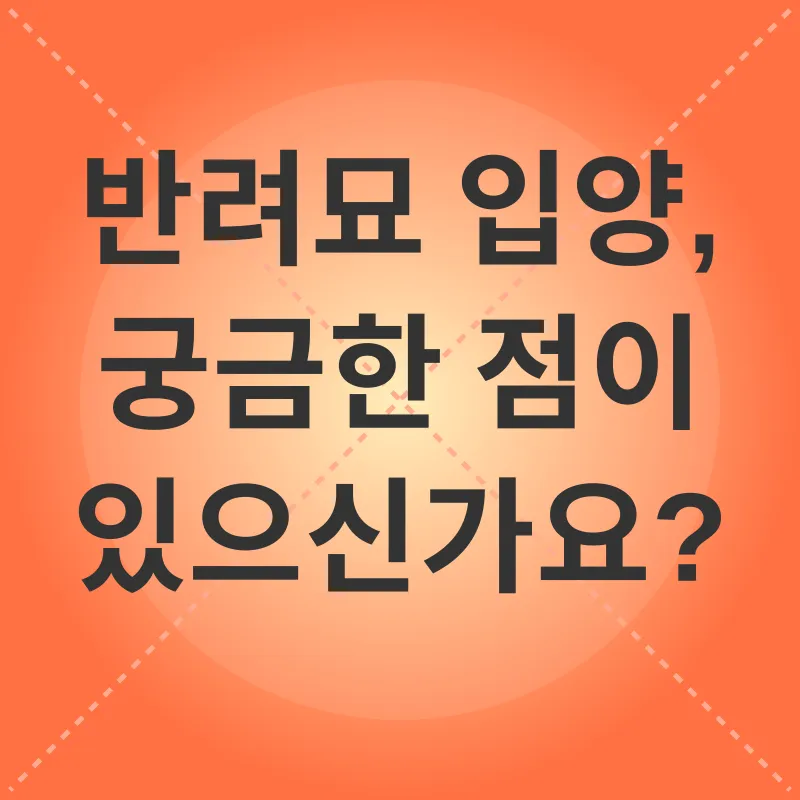 반려묘 입양_4