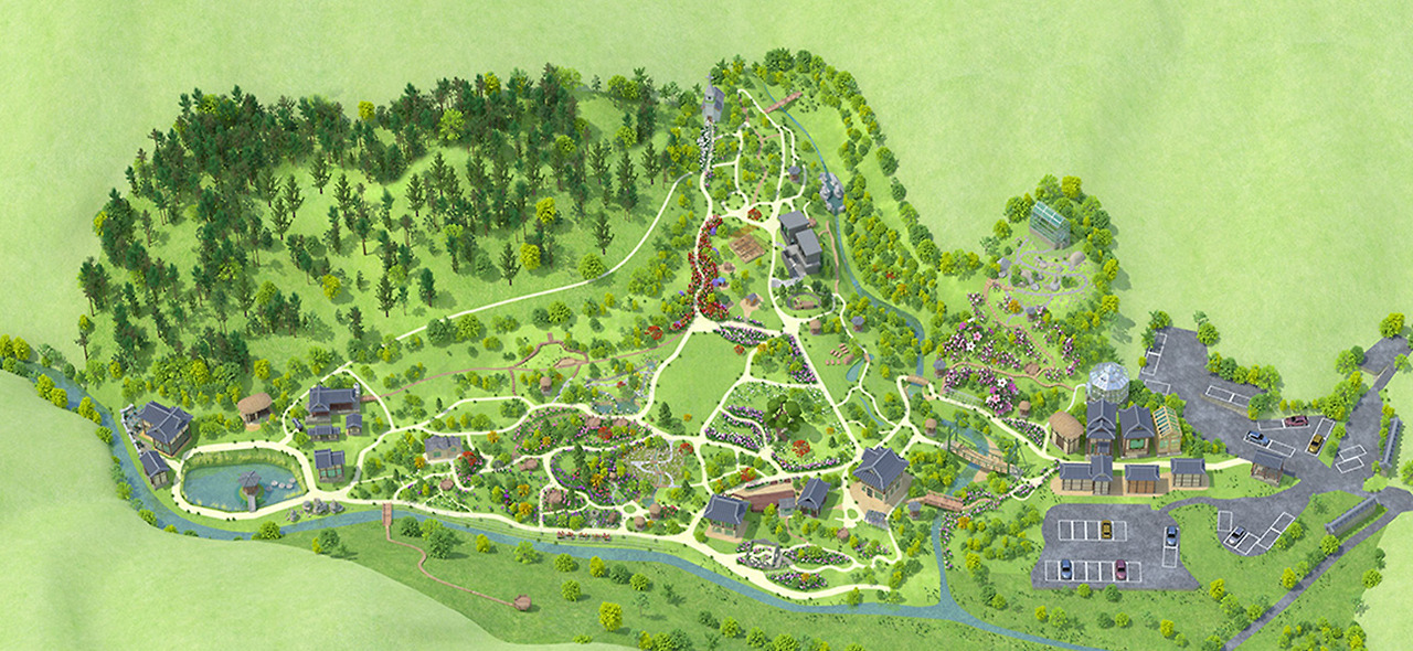 아침고요수목원 수국전시회, 6월 방문객이 몰리는 진짜 이유 3가지