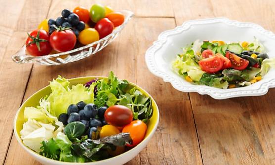 스테비아 방울토마토