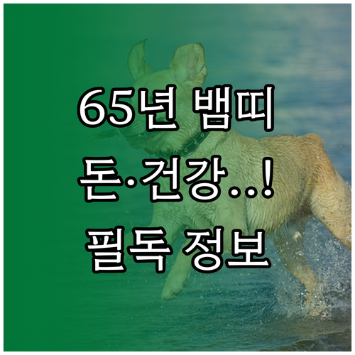 2026년 3월 1965년생 뱀띠 경..
