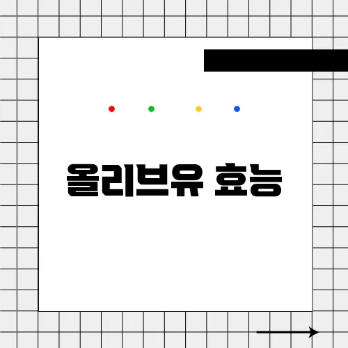 올리브유 효능