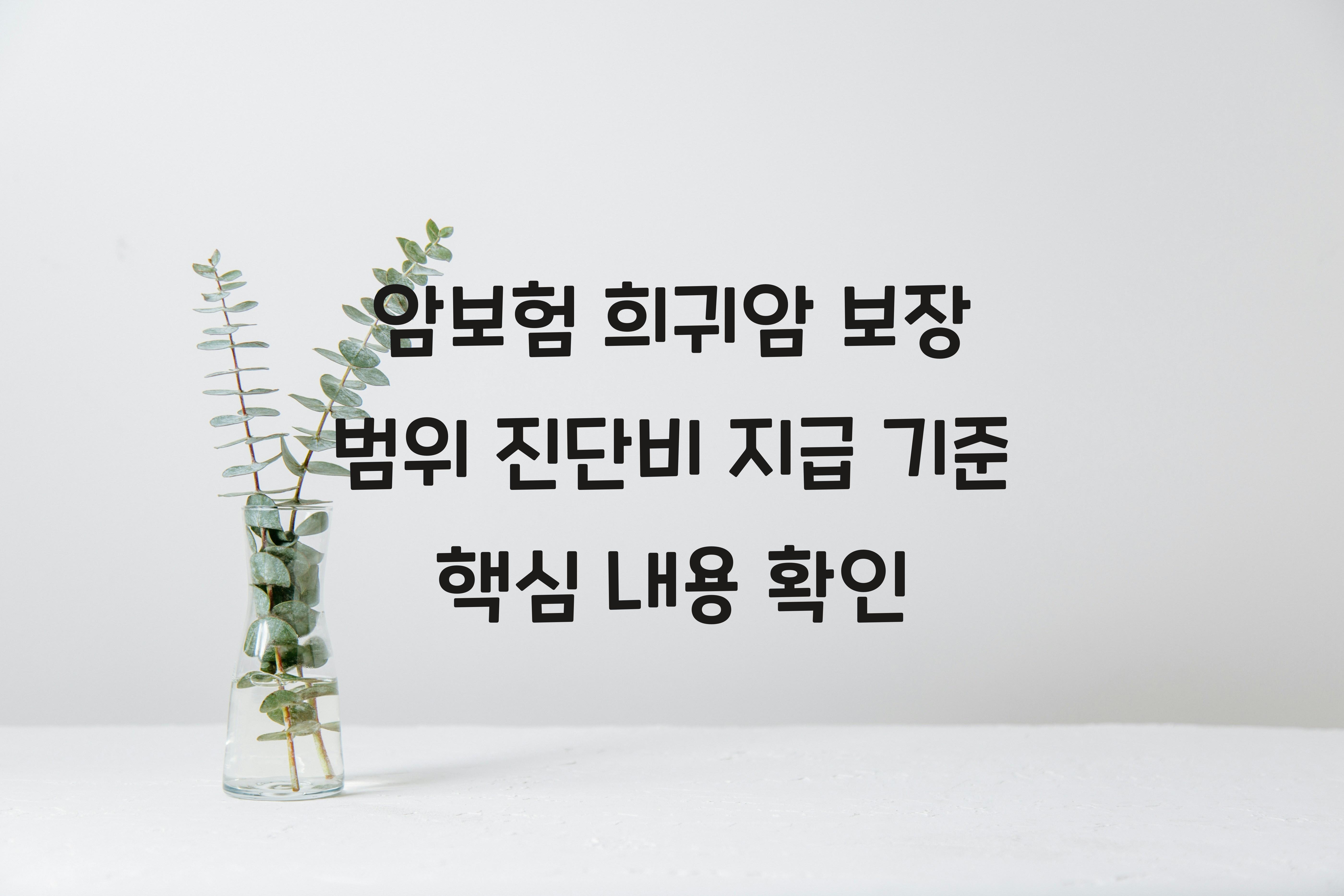 암보험 희귀암 보장