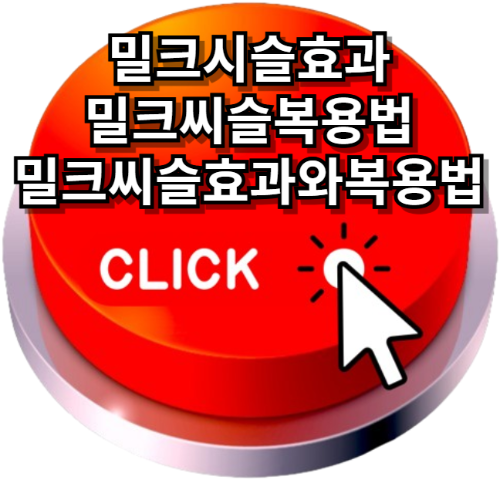 밀크시슬효과,밀크씨슬복용법,밀크씨슬하루권장량,밀크씨슬효과와복용법