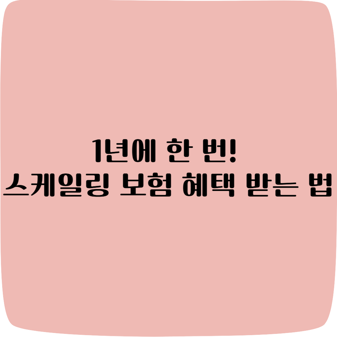 스케일링 보험 혜택