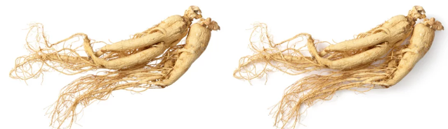 산양삼/출처:어도비스톡