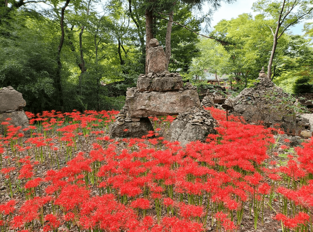 여수 흥국사 : 나라가 잘되길 기원하는 염원을 담은 호국 불교의 성지 고려후기 승려 보조국사 지눌이 창건한 사찰