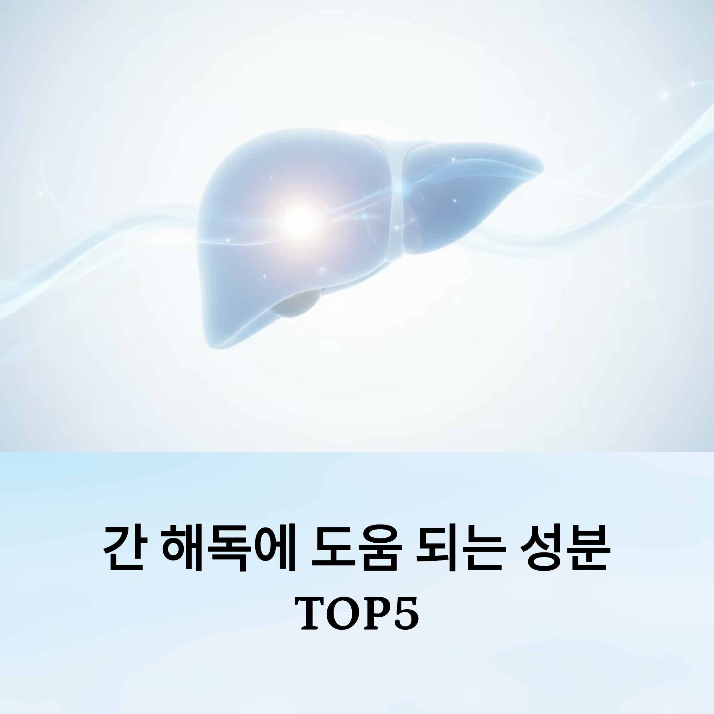 간 해독에 도움 되는 성분 TOP5