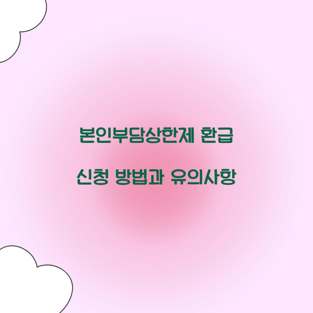본인부담상한제 환급