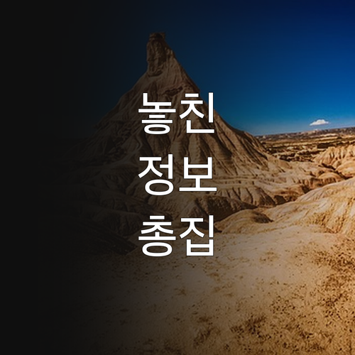 대구 2025년 노인 식사배달 서비스..