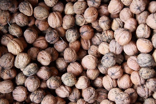 브라질넛 효능 완벽 가이드 - 슈퍼푸드의 놀라운 건강 효과(브라질 넛트)