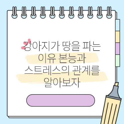 강아지가 땅을 파는 이유 본능과 스트레스의 관계를 알아보자