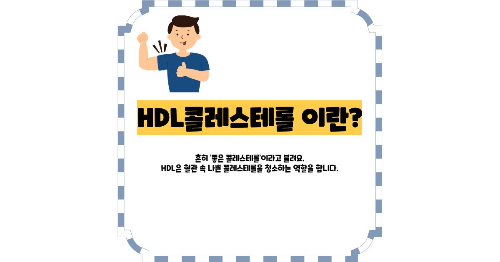 hdl 콜레스테롤 이란 썸네일
