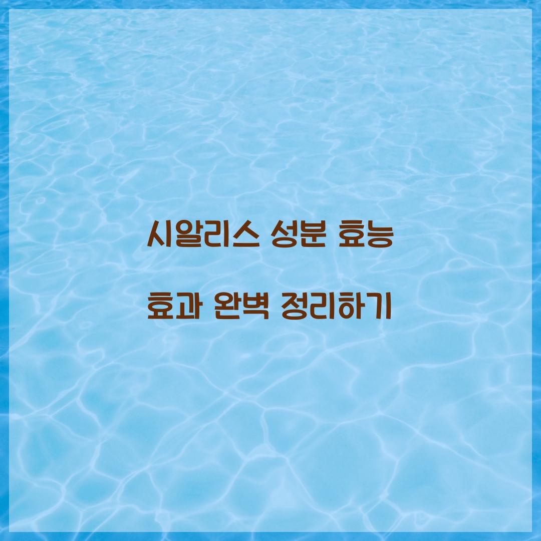 시알리스 성분 효능 효과