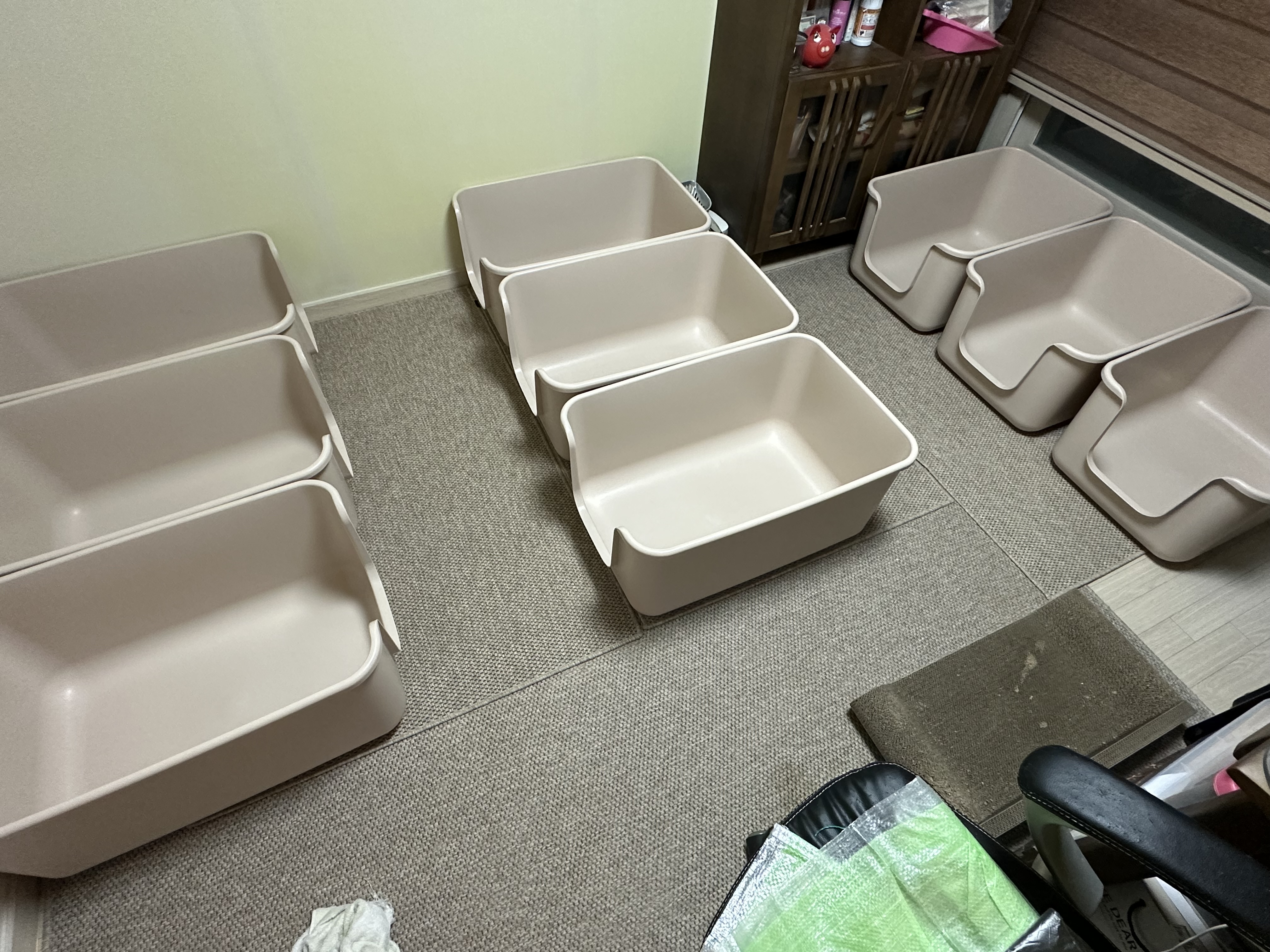 2월 고양이들 화장실 모래 전체갈이 (feat.사이잘룩러그)