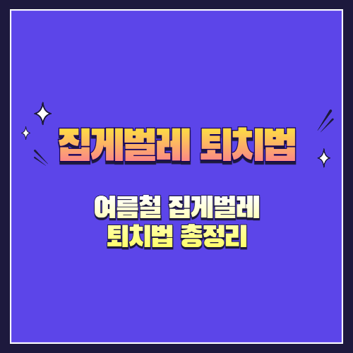 여름철 집게벌레 퇴치법 총정리