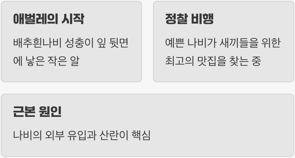 하얀 나비의 은밀한 방문