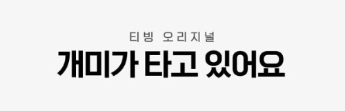 개미가 타고 있어요