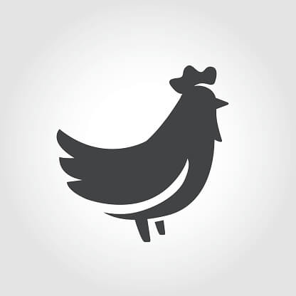 오늘의 운세