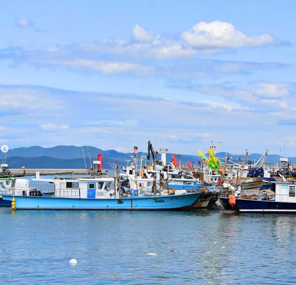 서천 자연산 광어 도미 축제 기본정보
