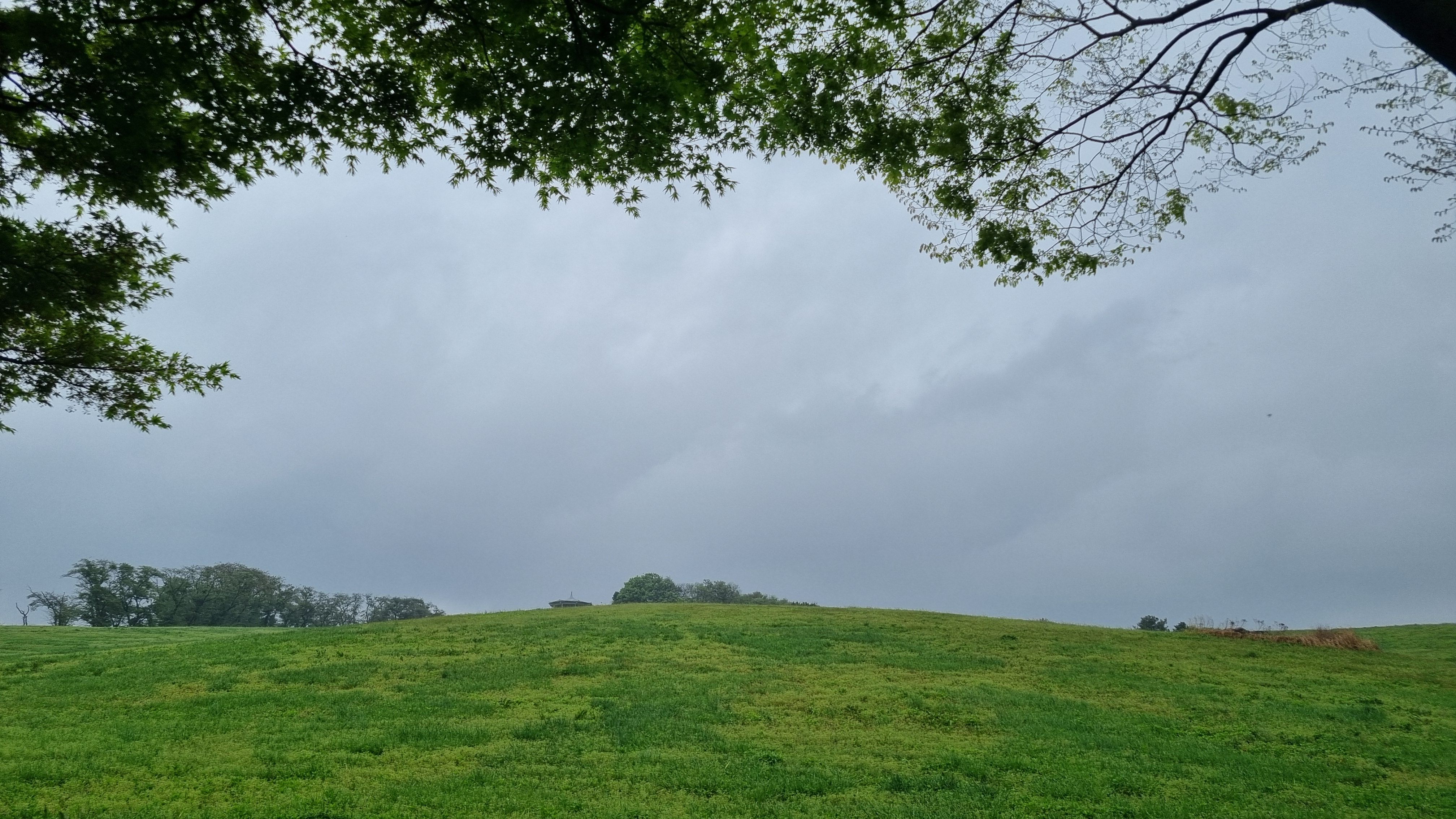 서산목장 흰당나귀카페