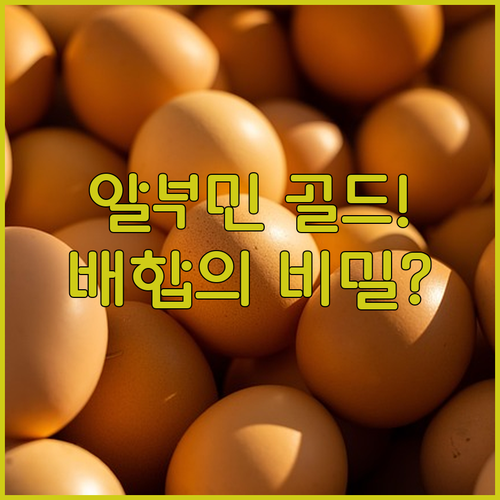 알부민 골드 고함량 제품 선택 기준과..