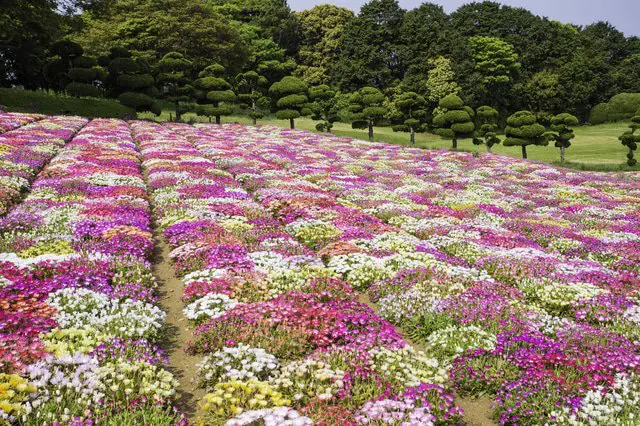 2024년 후쿠오카 자유여행 추천 관광지 인기 쇼핑 명소