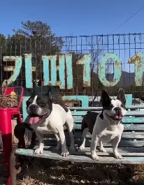 카페 101 파크뷰