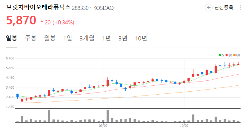 브릿지바이오테라퓨틱스-주가-일봉