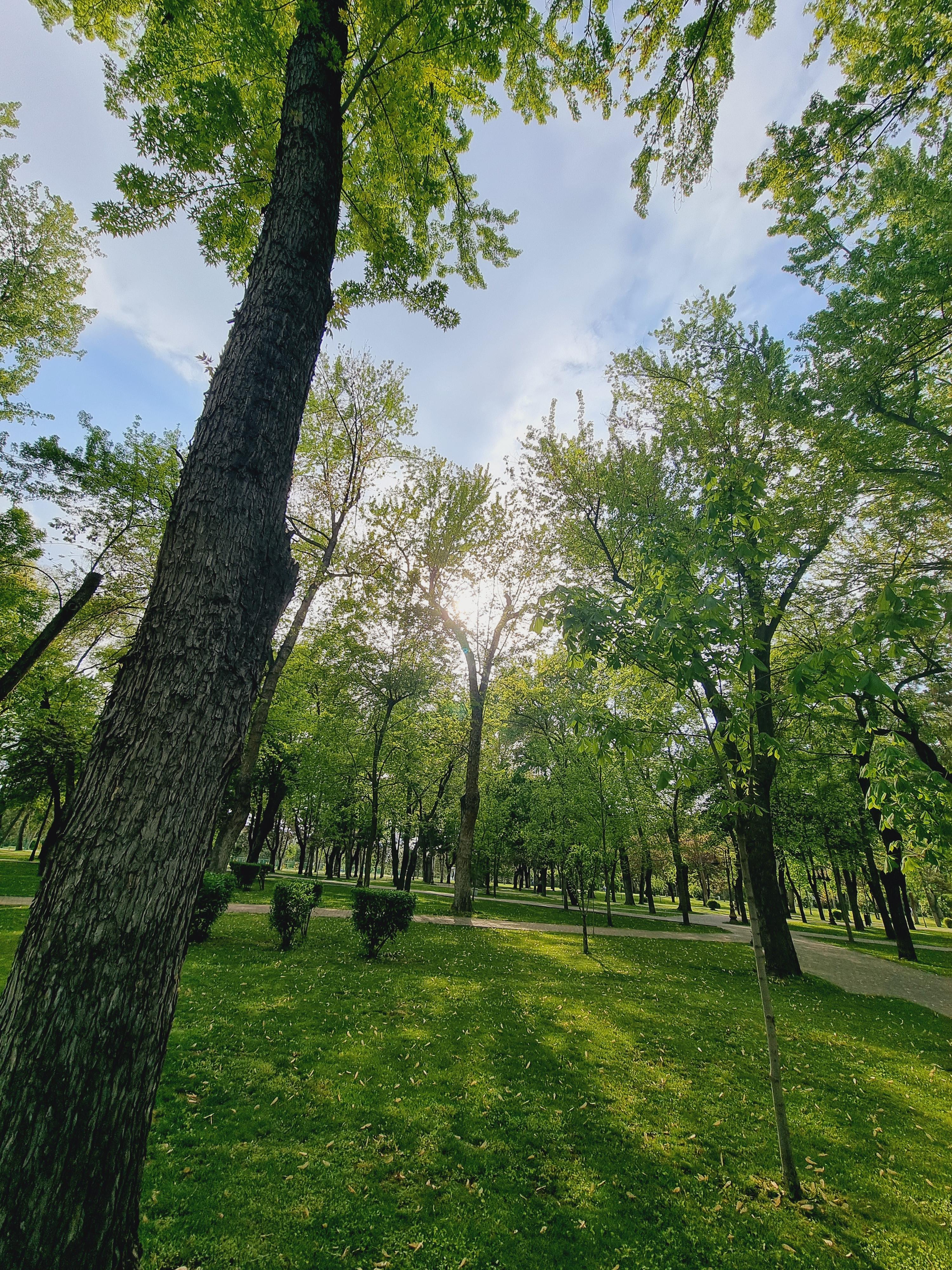 텀블러 들고 공원산책