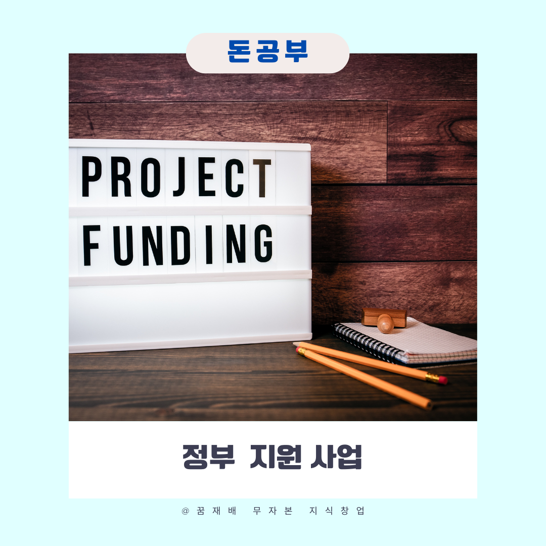 정부 지원 사업